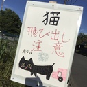 途方に暮れたブログ