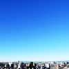 今日は朝と夕方。 空は同じく快晴。