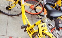 記事を見る