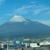 今年は国立競技場へと赴いた