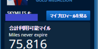 【限定キャンペーンあり】デルタマイルの使い道とゴールドメダリオン