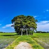 茨城県河内町の愛宕神社を見てきました 