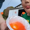 【再来】今年もお祭りに参加。規模よりも雰囲気が大事