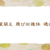 飛び石連休　【初夏の俳句】