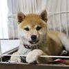 2018年を振り返って！