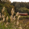 第10回 ススキと小湊鉄道