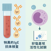血液中の特異IgE抗体検査と好塩基球活性化試験の比較