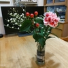 2025年1月の花