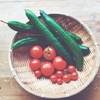 今年の夏野菜