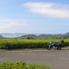 川内峠と生月大橋