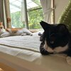 夏と秋の間で