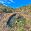 ジジイ池（仮称）（東京都神津島）