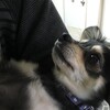 まろにー552日目