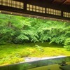 【京都】【御朱印】八瀬、『瑠璃光院』に行ってきました。 京都観光 女子旅 