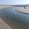 関根川河口風景