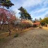 横浜　近くの公園