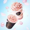【ゴディバ(GODIVA)】 2月15日から桜ショコリキサーが発売！！