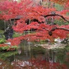   京都の紅葉～Momiji～②
