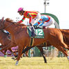 競馬初心者必見☆馬券予想🔥〜きさらぎ賞〜少頭数でも狙いは上位人気！？