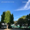 閾値走日和