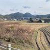 中家住宅