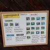 乙女高原花ごよみ