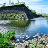 大阪岸和田：岸和田ぶらりまち歩き