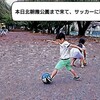 子どもの成長・子育てについて考える⑥～子どものわがまま改善❗❓偏😅～