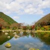 秋桜ウォーキング 