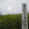 菜の花や月は東に日は西に