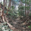 駿河・丸子城登城！駿府の西、宇津ノ谷峠を守る山城～