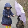 雨に遊んで