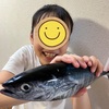なんで魚❓