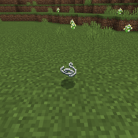 マイクラ オウムガイの入手方法と使い方まとめ マインクラフト Sくんのminecraft