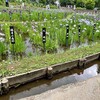 しょうぶ沼公園