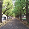【紅葉便り】神宮外苑イチョウ並木