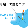 「釣り堀」で釣れるコツ！-たくさん釣る方法を教えます！【鯉釣り】