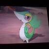 ポケモンのシナリオを進めるための有望な相棒について！