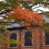 色づきはじめた紅葉「石川県立歴史博物館」（いしかわ赤レンガミュージアム）