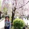 日本　岐阜公園と金華山