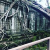 アンコールワット個人ツアー(177)ベンメリア遺跡観光ガイドとラッキーモールショッピングセンター