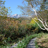 展望湿原の紅葉 -栂池自然園-