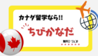 【無料の留学エージェント!?】 カナダに留学するなら『ちびかなだ』を知っておこう👍