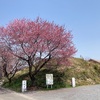 漆山古墳  高崎市下佐野町