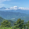 クッキリとした青空の下での高尾山散策　セッコク