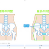 4月の骨盤は、産後の骨盤。。