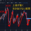 【上値が】乱高下の相場に耐える-トライオートETF【重い】