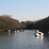 井の頭公園（東京都武蔵野市）