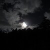 今夜の月