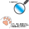 占いは好き❓